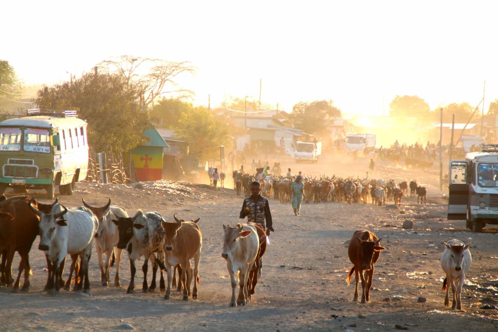How a new type of insurance helps to relieve poverty in Ethiopia
